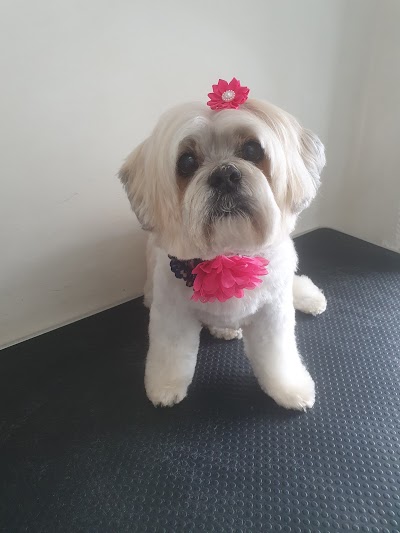 Grooming Van Image