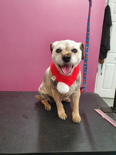 Grooming Van Image