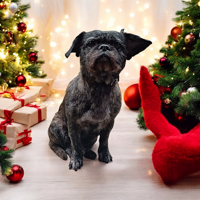 Grooming Van Image