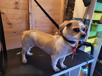 Grooming Van Image