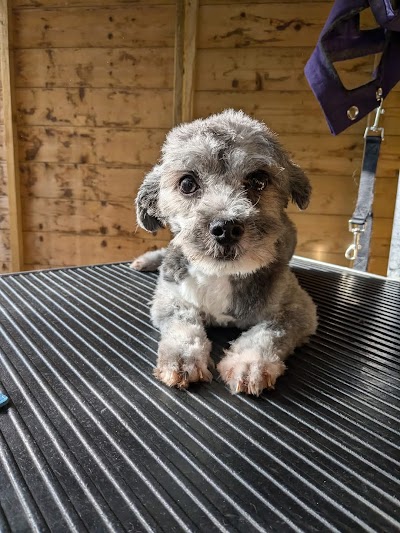 Grooming Van Image