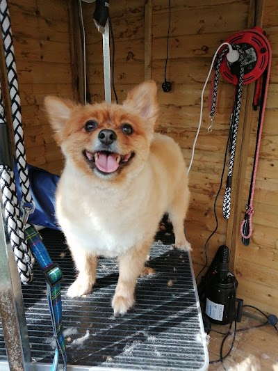 Grooming Van Image