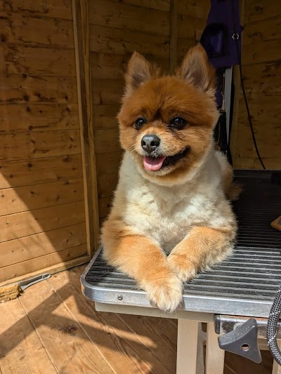 Grooming Van Image