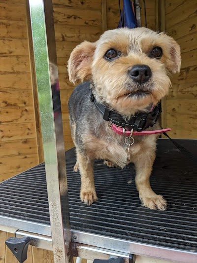 Grooming Van Image