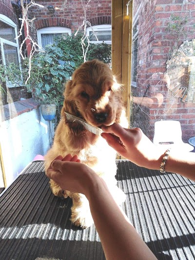 Grooming Van Image