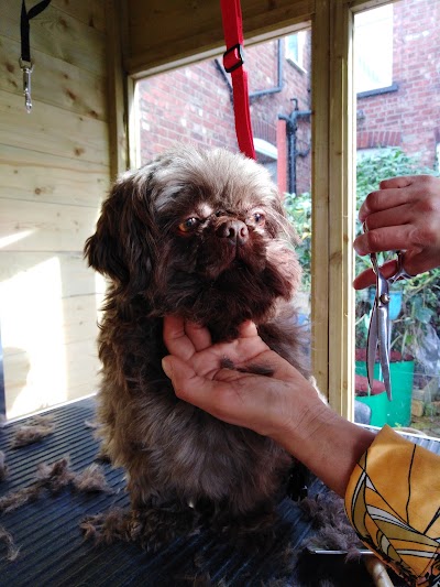 Grooming Van Image