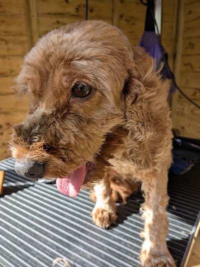Houndsville Dog grooming
