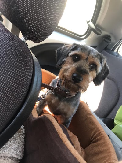 Grooming Van Image