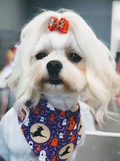 Grooming Van Image