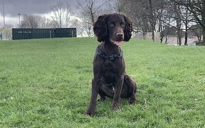 Grooming Van Image