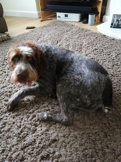 Grooming Van Image