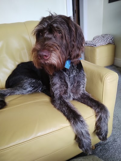 Grooming Van Image