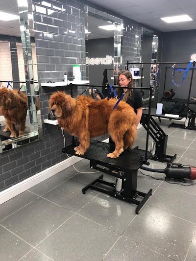 Grooming Van Image