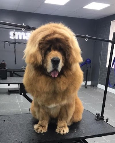 Grooming Van Image