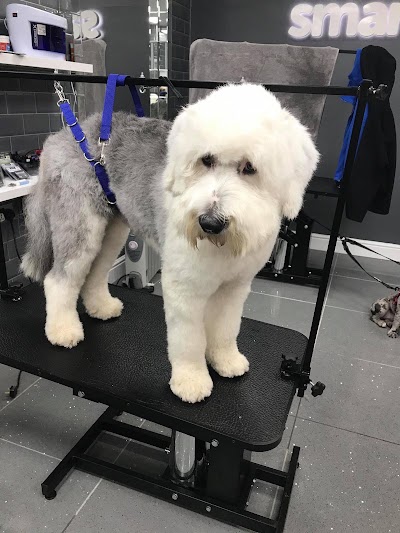 Grooming Van Image