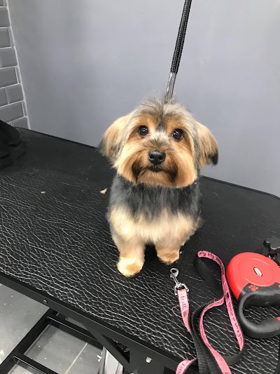 Grooming Van Image
