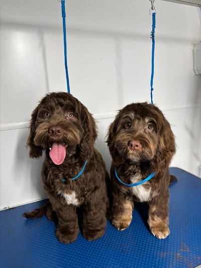 Grooming Van Image