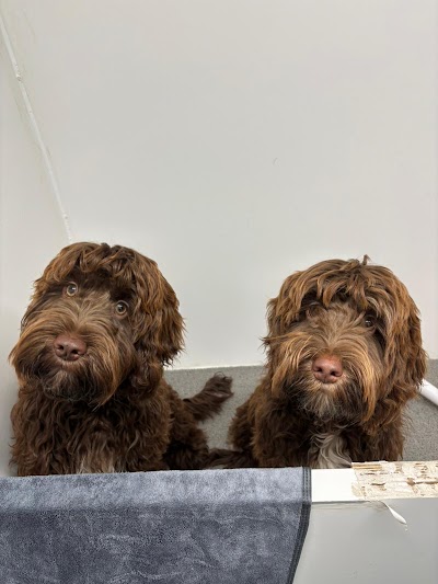Grooming Van Image