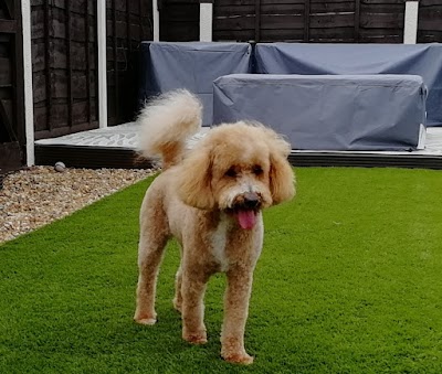 Grooming Van Image