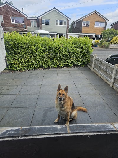 Grooming Van Image