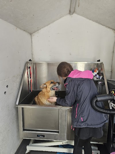 Grooming Van Image