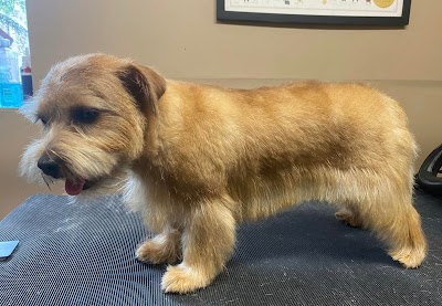 Grooming Van Image