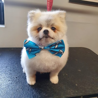 Grooming Van Image
