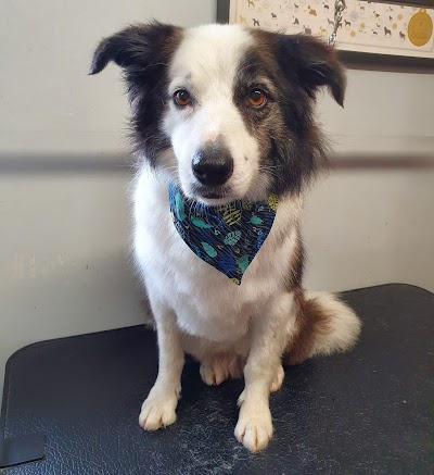 Grooming Van Image