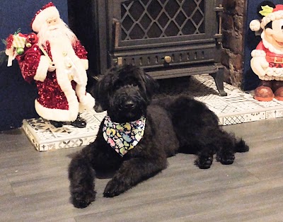 Grooming Van Image