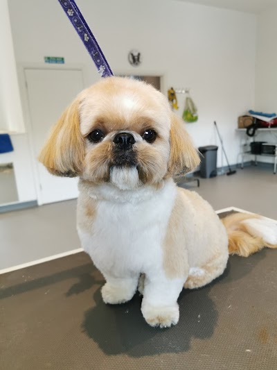 Grooming Van Image