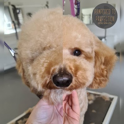 Grooming Van Image