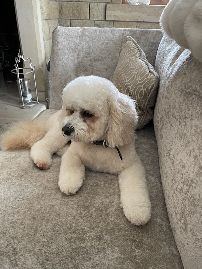 Grooming Van Image