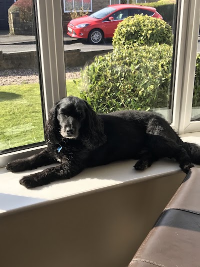 Grooming Van Image