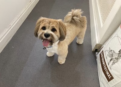 Grooming Van Image