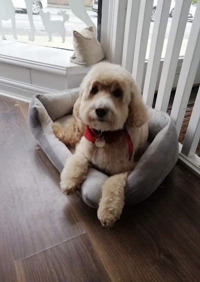 Grooming Van Image