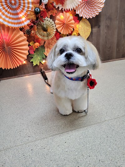 Grooming Van Image