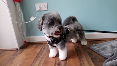 Grooming Van Image