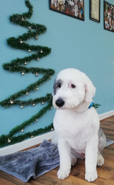 Grooming Van Image