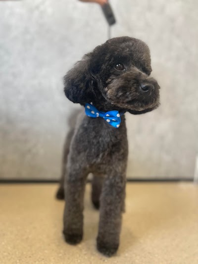 Grooming Van Image