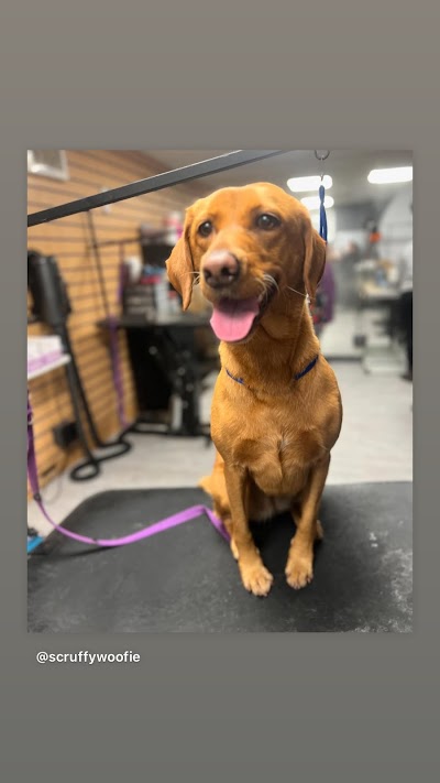 Grooming Van Image