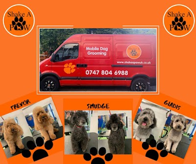 Grooming Van Image