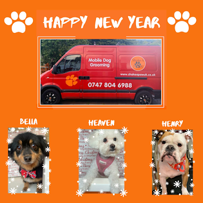 Grooming Van Image