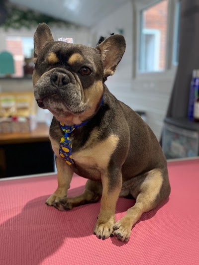 Grooming Van Image