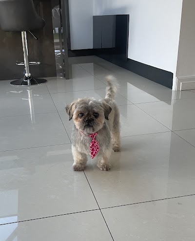Grooming Van Image