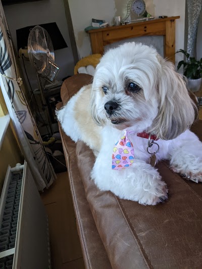 Grooming Van Image