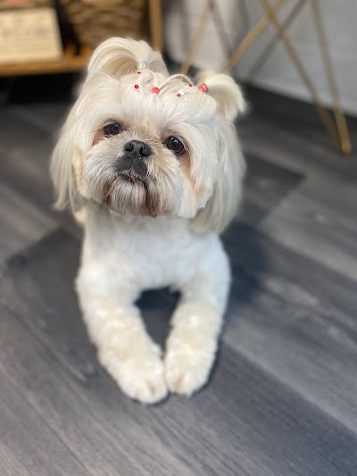 Grooming Van Image