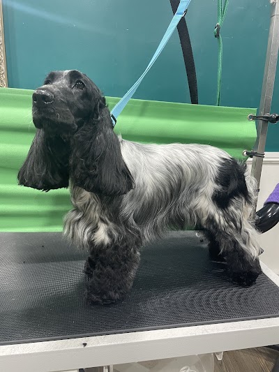 Grooming Van Image