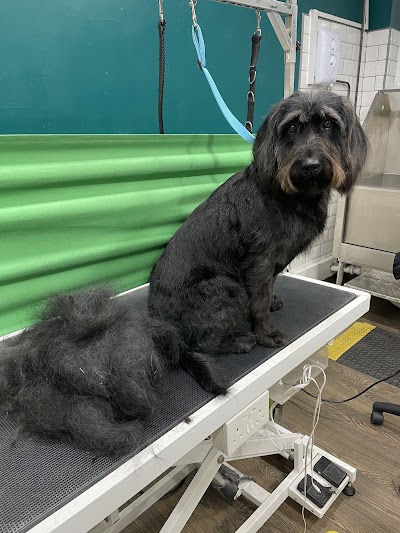 Grooming Van Image