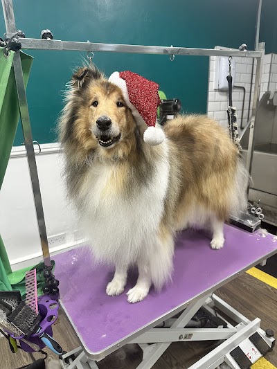 Grooming Van Image