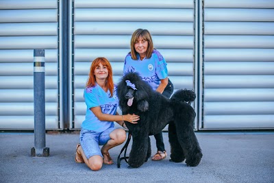 Grooming Van Image